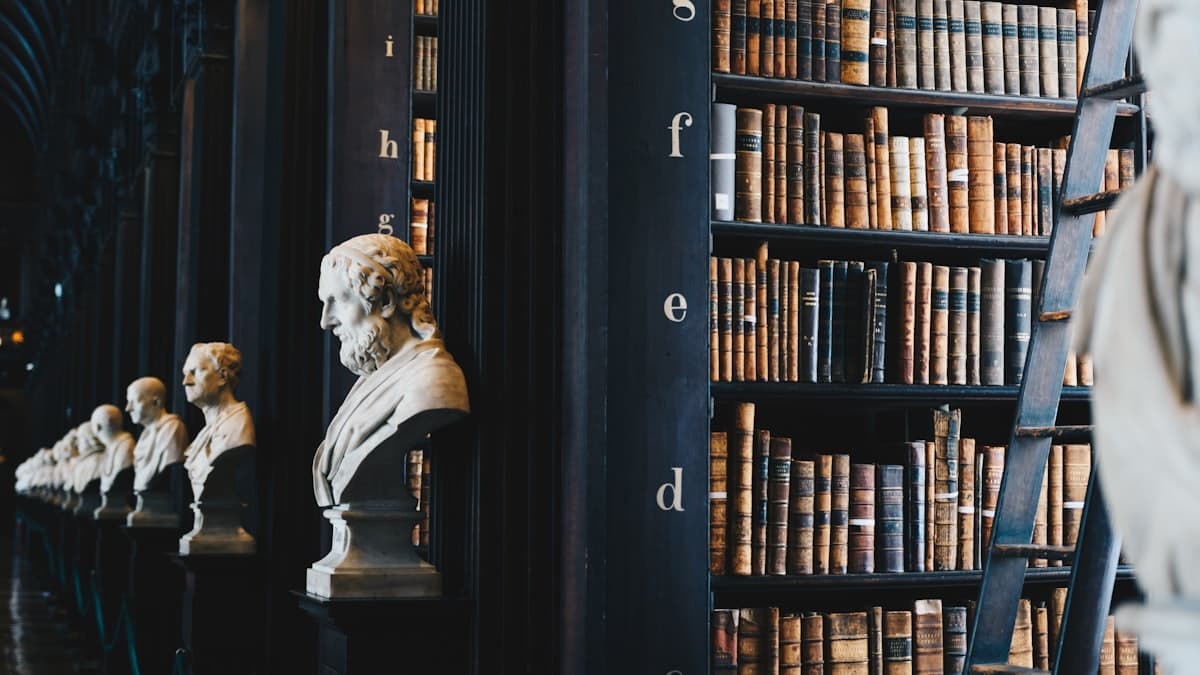 Shelves of bound reference volumes in a practice library